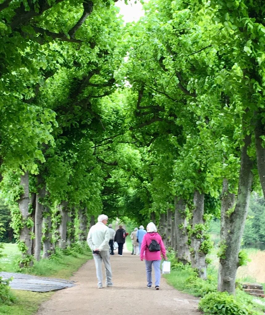 Vi gik gik i samlet flok fra parkeringspladsen igennem parken.
